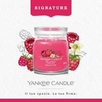 Vela En Frasco Mediano Red Raspberry 368 G - Yankee Candle