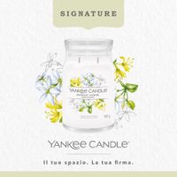 Vela En Frasco Grande Midnight Jasmine 567 G - Yankee Candle