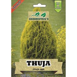 Semilla Forestal De Thuja - Germoveg´s