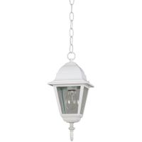 Farol Colgante Para Exterior 1 Luz 100 W - Zlumini Varios Colores