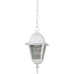 Farol Colgante Para Exterior 1 Luz 100 W - Zlumini Varios Colores