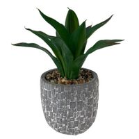 Planta Artificial Con Maceta Gris 10x10x23 Cm - Concepts