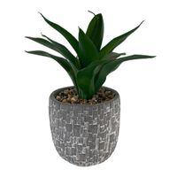 Planta Artificial Con Maceta Gris 10x10x23 Cm - Concepts