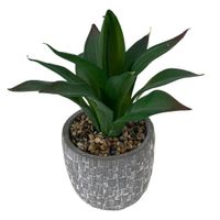 Planta Artificial Con Maceta Gris 10x10x23 Cm - Concepts