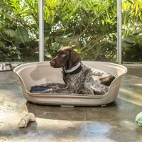 Cama Para Perro Con Colchón Taupé De 22 x 56 x 78 Cm - Rimax