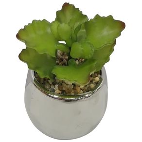 Suculenta En Pote Balnco 7.5x7.5x10 Cm - Concepts