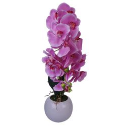 Orquídea Rosada Con Pote Redondo Blanco 70 Cm - Concepts