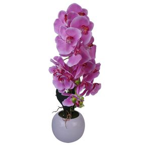 Orquídea Rosada Con Pote Redondo Blanco 70 Cm - Concepts