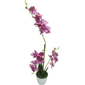 Orquídea Fucsia Con Pote 40 Cm - Concepts