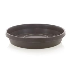 Caja Terra Chocolate 14 - Bloem