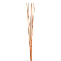 Mini Bamboo Con 7 Tallos De 90 Cm