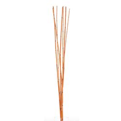 Mini Bamboo Con 7 Tallos De 90 Cm