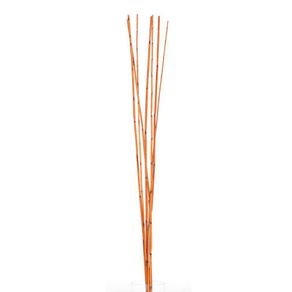 Mini Bamboo Con 7 Tallos De 90 Cm