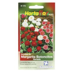 Semilla De Margarita - Hortaflor