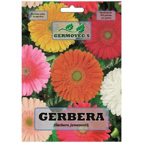 Semilla De Gerbera - Garden