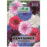 Semilla De Centaurea - Germovegs