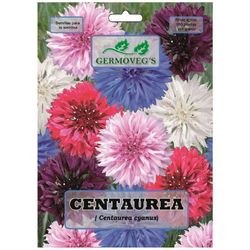 Semilla De Centaurea - Germovegs