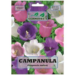 Semilla De Campánula - Germovegs