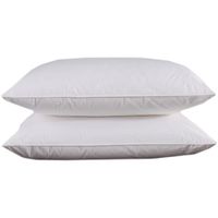 Almohada Con Relleno De Plumas Y Plumón Estándar - Viva