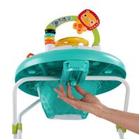 Caminadora Zig Zag Zebra - Broadway Toys