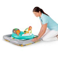 Caminadora Zig Zag Zebra - Broadway Toys