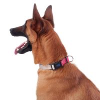Collar Ajustable Mylu XL - Totto