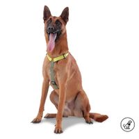Arnés De Caminata Figgo Amarillo XL - Totto