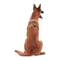 Arnés De Caminata Figgo Amarillo XL - Totto