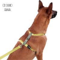 Arnés De Caminata Figgo Amarillo L - Totto