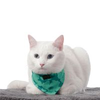 Pañuelo Menta Doble Faz 2.0 S - Totto
