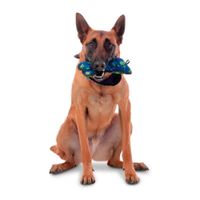 Juguete De Mascota Bone - Totto