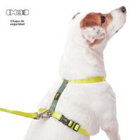 Arnés De Caminata Figgo Amarillo M - Totto