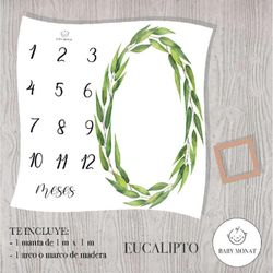 Manta Milestone Eucalipto Diseños Surtidos - Baby Monat