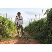 Desbrozadora Fs-120 - Stihl