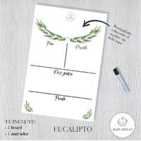 Board de Información Eucalipto Diseños Surtidos - Baby Monat
