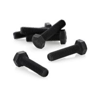 Tornillo Hex Mm Nc 5 X 20 Blister De 6 Unidades
