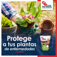 Cal Dolomítica 8 Lb - Calera San Miguel, S.A.