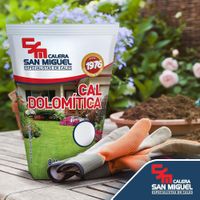 Cal Dolomítica 8 Lb - Calera San Miguel, S.A.
