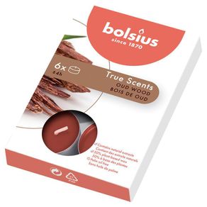 Caja De Velas Teal Café Oud Wood 6 Unidades - Bolsius