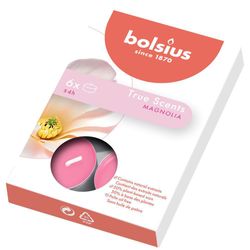 Caja-De-Velas-Teal-Rosada-Magnolia-6-Unidades---Bolsius