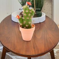 Cactus-Artificial-Con-Maceta-