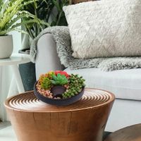 Planta Artificial Con Pote Maceta Negra 16 X 8.5 Cm - Concepts