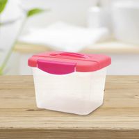 Caja Click Rosa - Guateplast Varias Capacidades