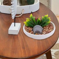 Planta Artificial Decorativa Con Piedras 16 X 9.5 Cm - Concepts