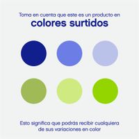 Eucalipto Brillante Preservado