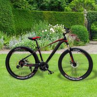Bicicleta Mtb Rin 29 De 24 Velocidades - Diamond Varios Colores
