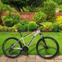 Bicicleta Mtb Rin 26 De 24 Velocidades - Diamond Varios Colores