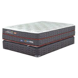Set De Cama Colchón + Base Immunity Dual Energy - Therapedic Varios Tamaños