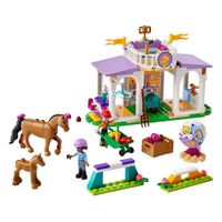 Clases De Equitación 134 Pzas - Lego
