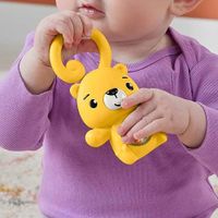 Sonaja De Safari Diseños Surtidos - Fisher Price